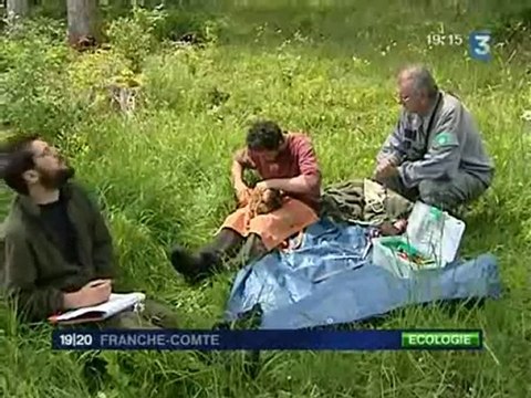 FR3-1920-240609_baguage_milans_royal