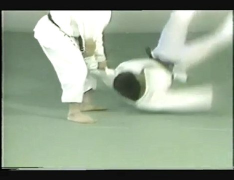 Osawa Sensei- Tsubame Gaeshi