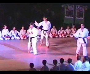 DEMO KARATE ACADEMIE LEVINET