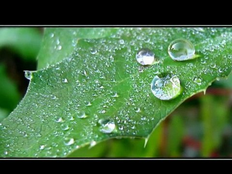 LZ-ТОПЪЛ ДЪЖД