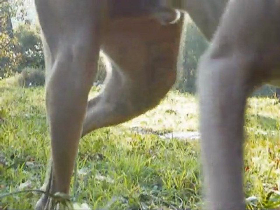 Choco, 2ans mon amour