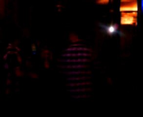 2010.02.12 - kaktus, halay