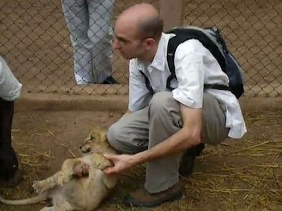 15/11/2009-Greg joue avec un lionceau au Zimbabwe-PART 1