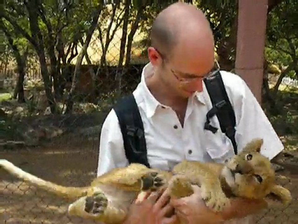 15/11/2009-Greg joue avec un lionceau au Zimbabwe-PART 2