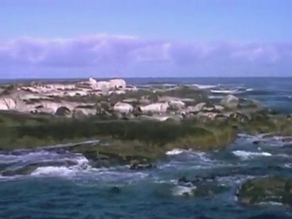 Afrique du Sud 3/10
