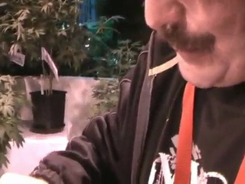 Vienna End Clip