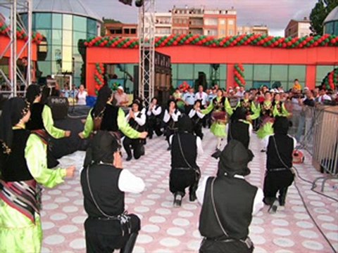 parke makinası,plastik beton kalıpları