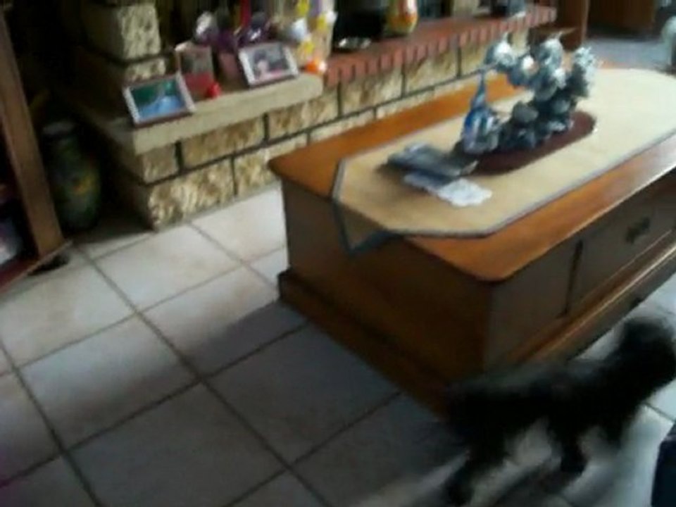 El'king de la vallée des secrets avec maman et tatie cari