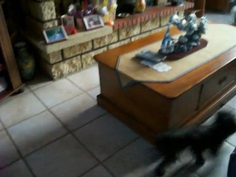 El'king de la vallée des secrets avec maman et tatie cari