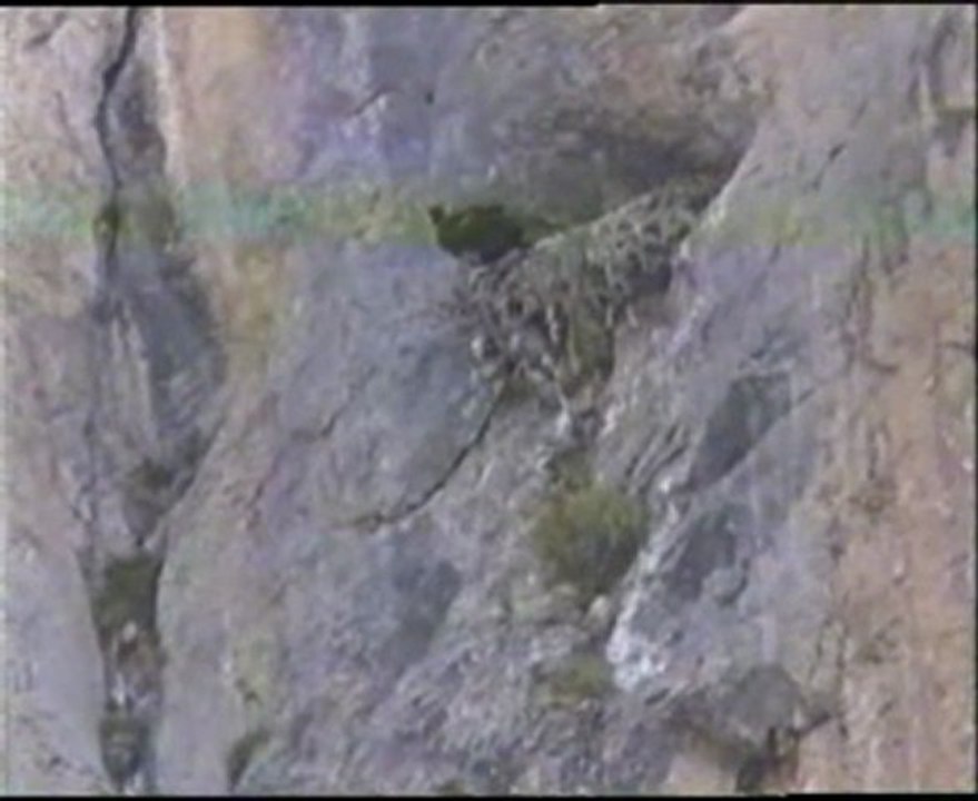 Le Vol du Phénix II