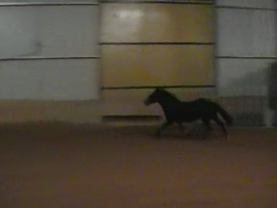 Mon loulou d'amour !!!