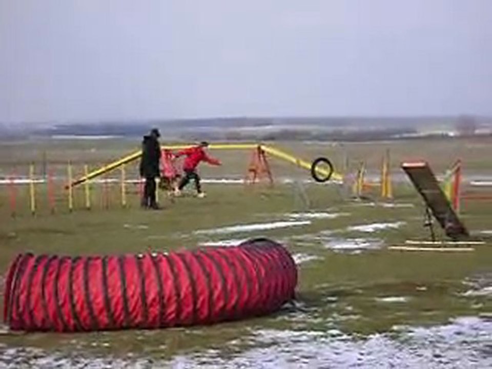 Agility du 13 février 004