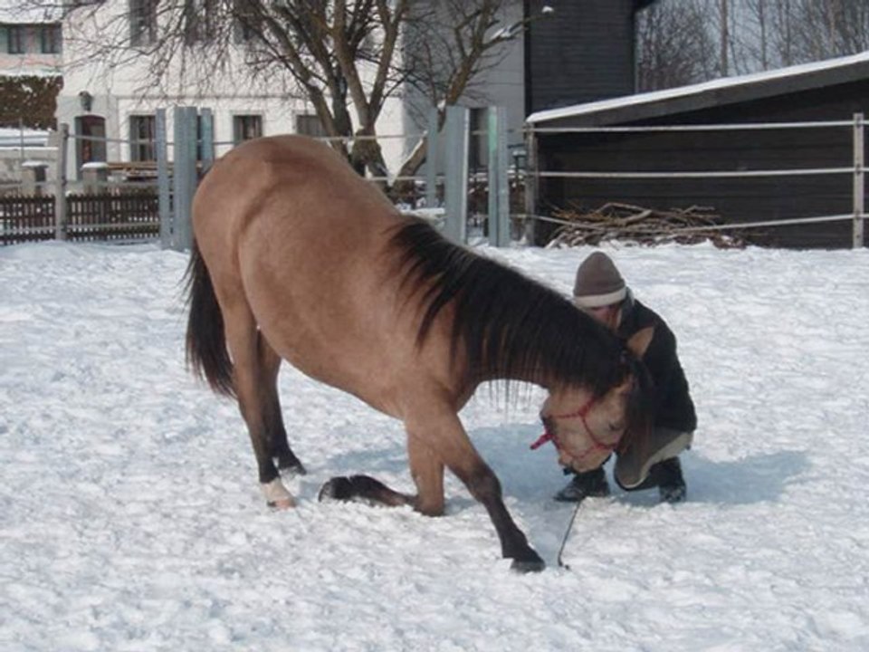 Tempête: travail au sol +  balade au lac