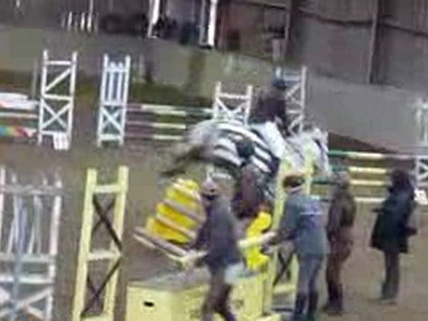 Concours Allonnes - 7.01.2010 - Maryll et Quim