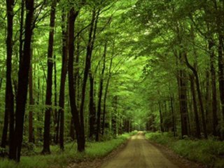 SüKRü AKYüZ BABA TüRKÜSÜ 2