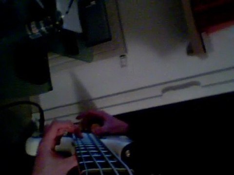 Can't Stop - Red Hot Chili Peppers Bass Cover