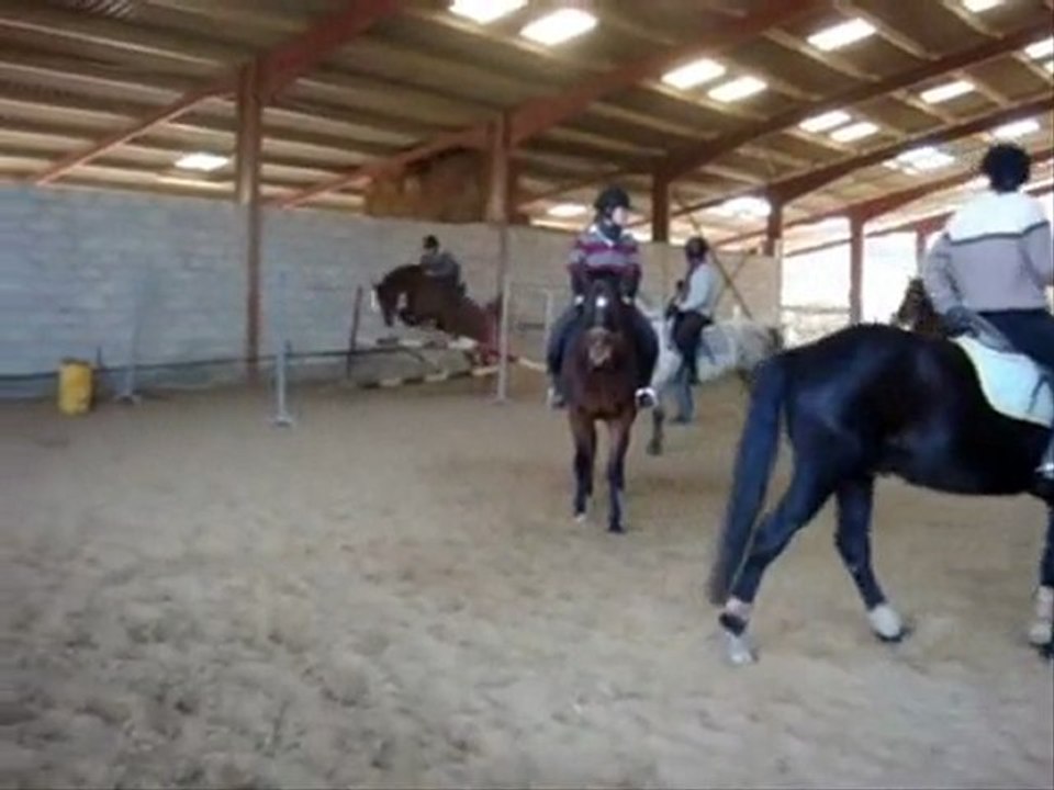 Séance d'obstacles + pansage complet 13.02.10