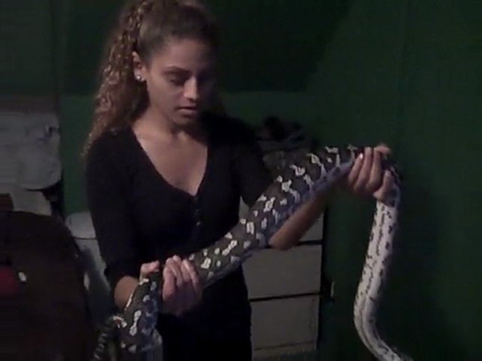 Playing with a Snake