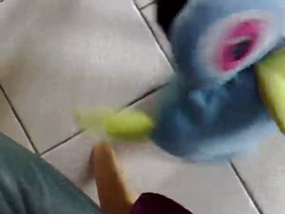 Ma chienne, Sasha ... qui dresse un POKEMON lol