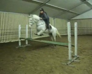 Cours de saut avec Mambo ( L ) - 13.o2.1o