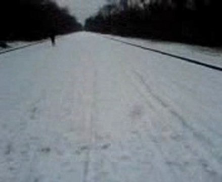 ballade en sous-bois