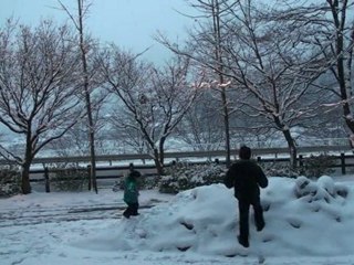 gifu ken neve 2010