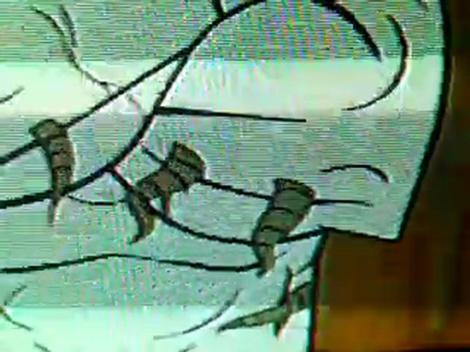 Vid0013