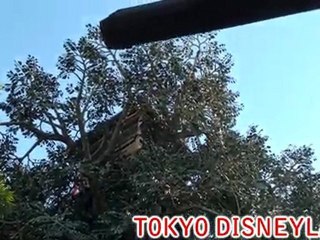 tokyo disneyland