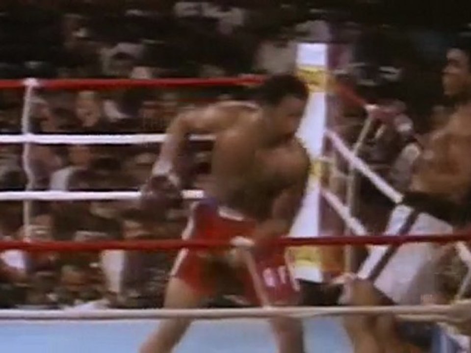 another documentary_chunk_6