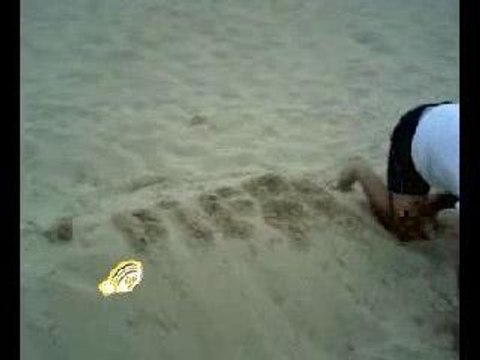 Le jour ou fifou fut entéré :'(