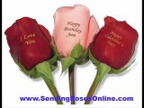 buy pink roses valentines day