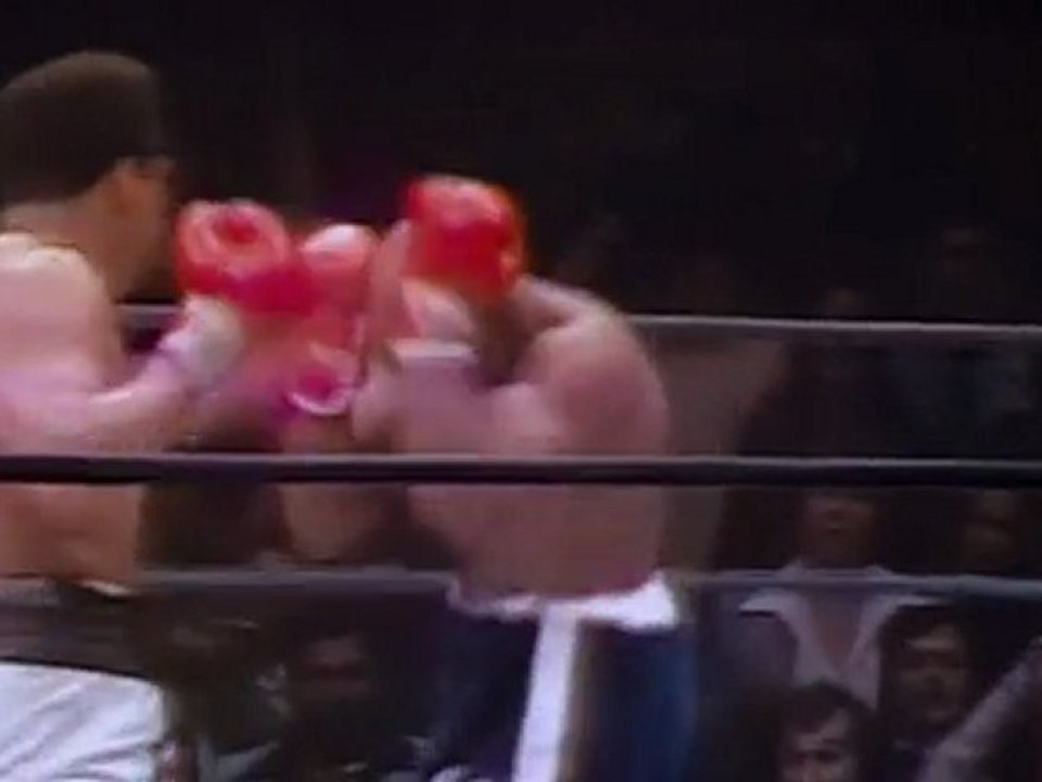 another documentary_chunk_8