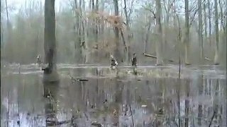 Duck Hunting U.S.A