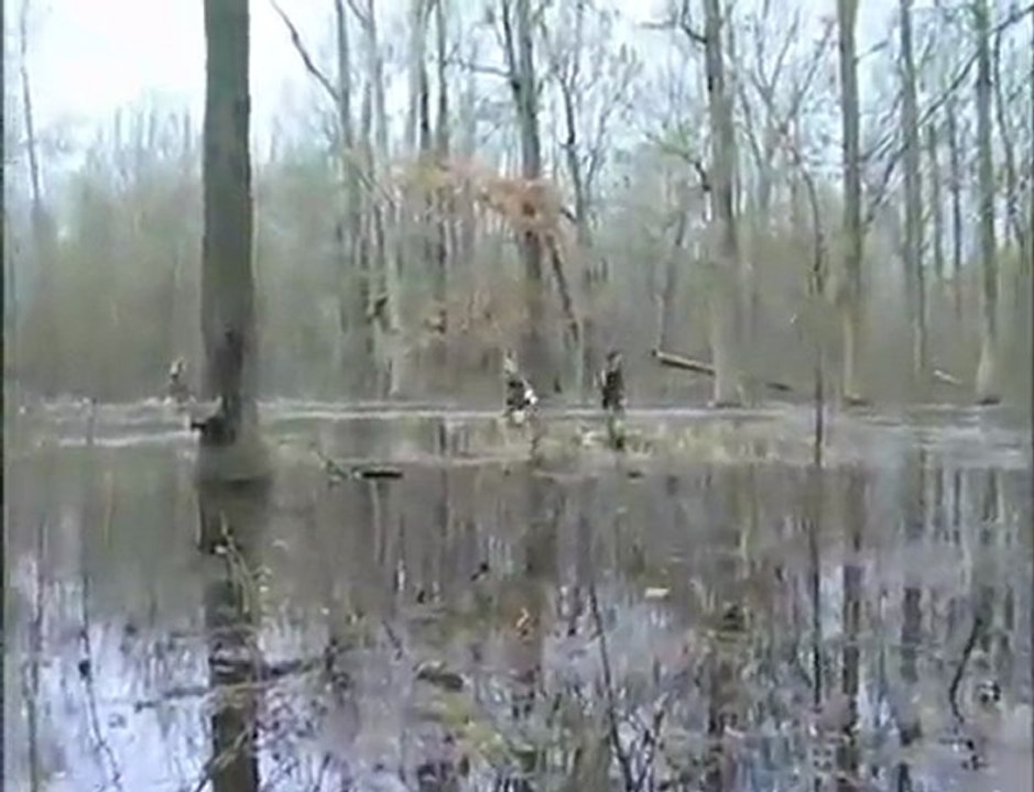 Duck Hunting U.S.A