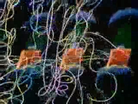 Walt Disney - The Little House - 1952