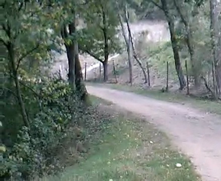 vitesse surprenante en pocket bike