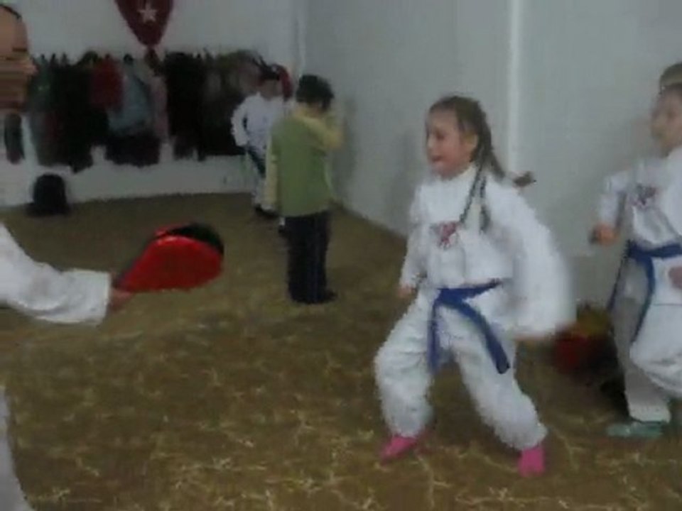 Taekwon-docular