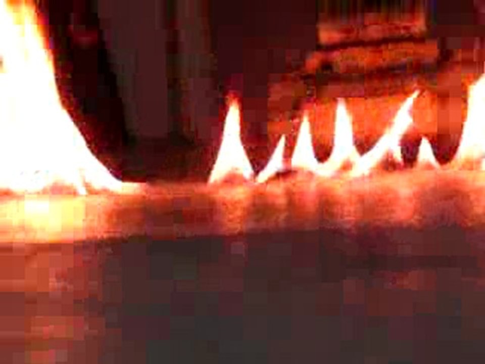 Panther 3 Flam