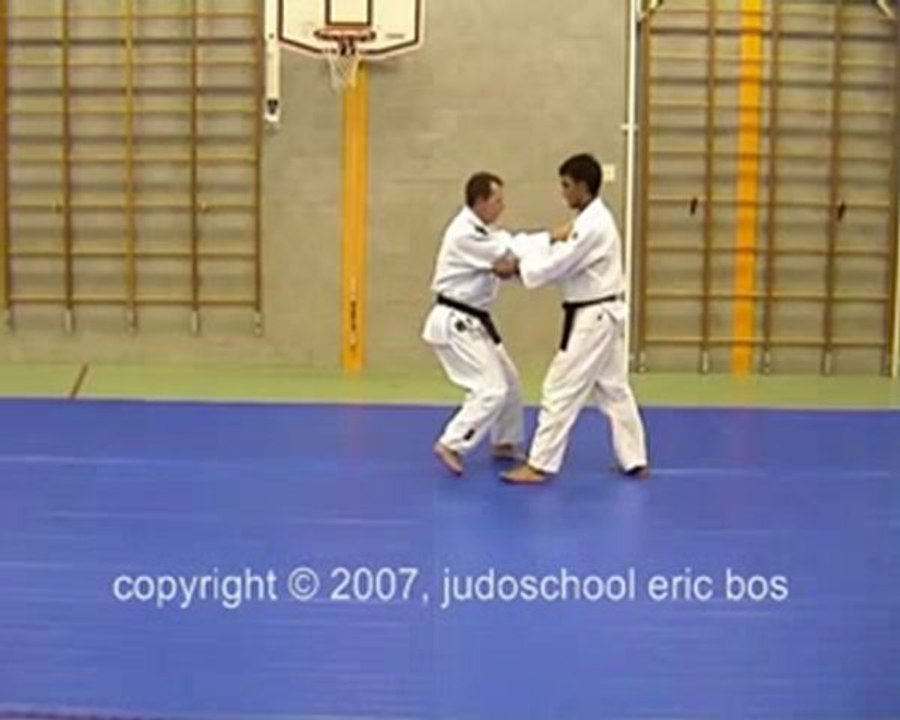 hane makikomi
