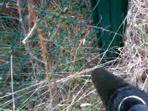 airsoft camera embarquer