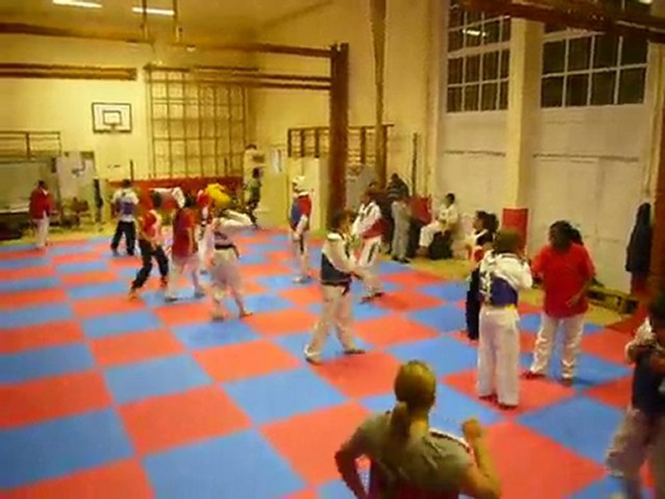 taekwondo belgium bruxelles