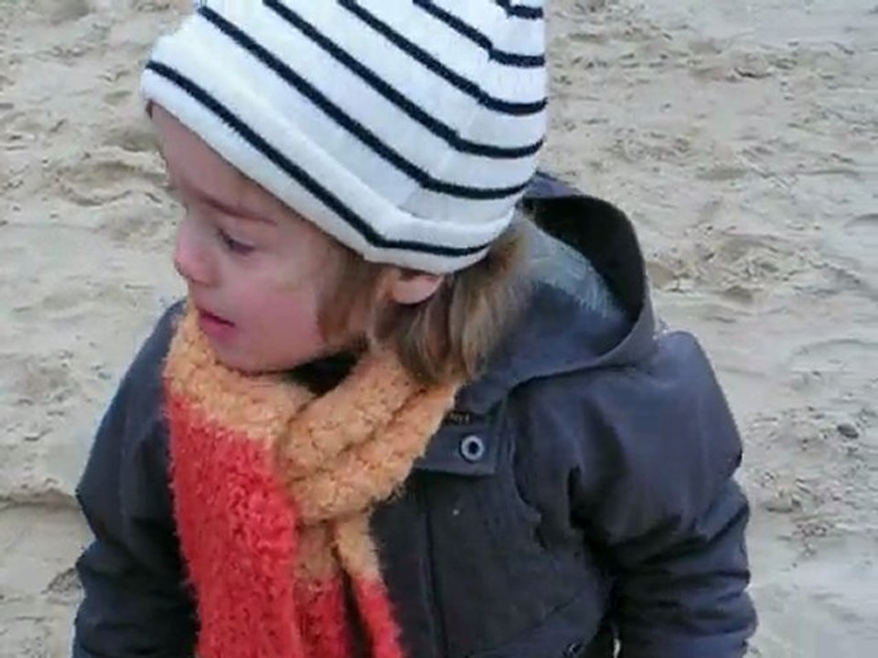 Plage - 03 - 14 février 2010