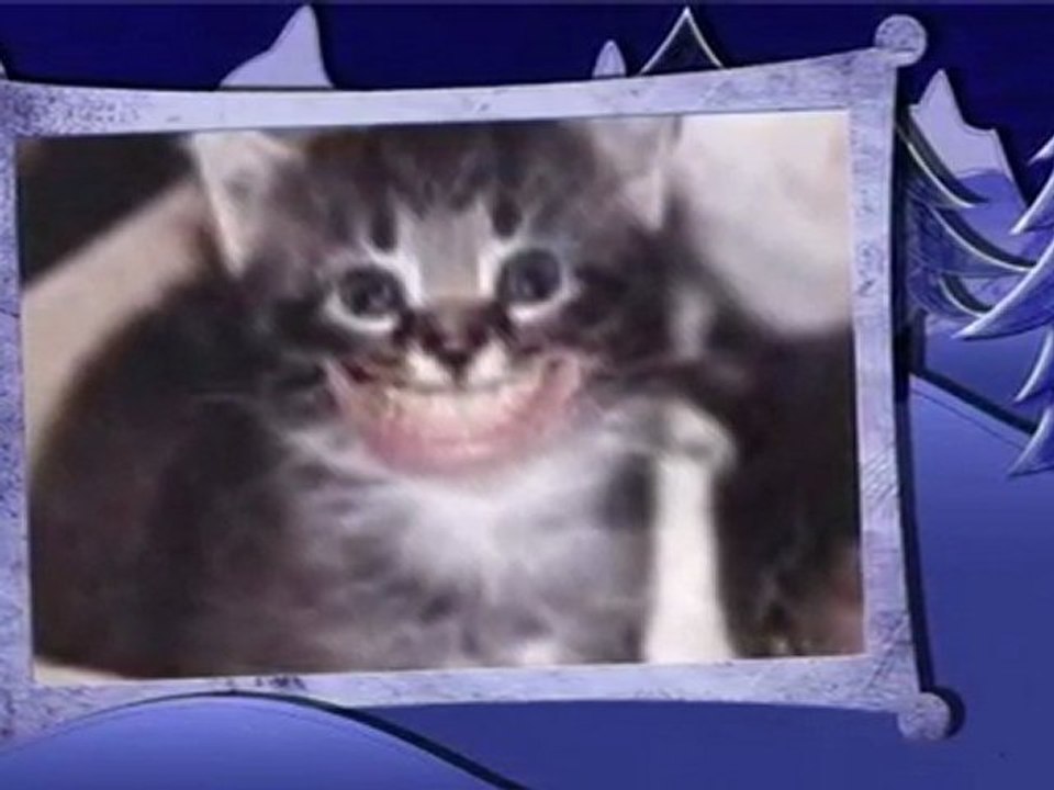 comique du 93
