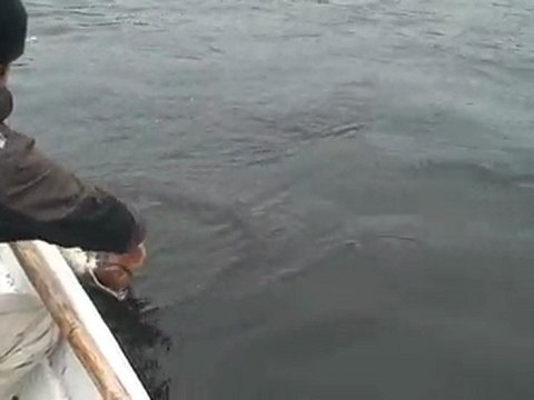 Pike fishing in Finland. Late autumn pikes