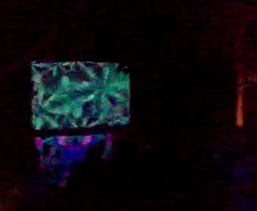 Destination Himmapan Koh Phangan 2010