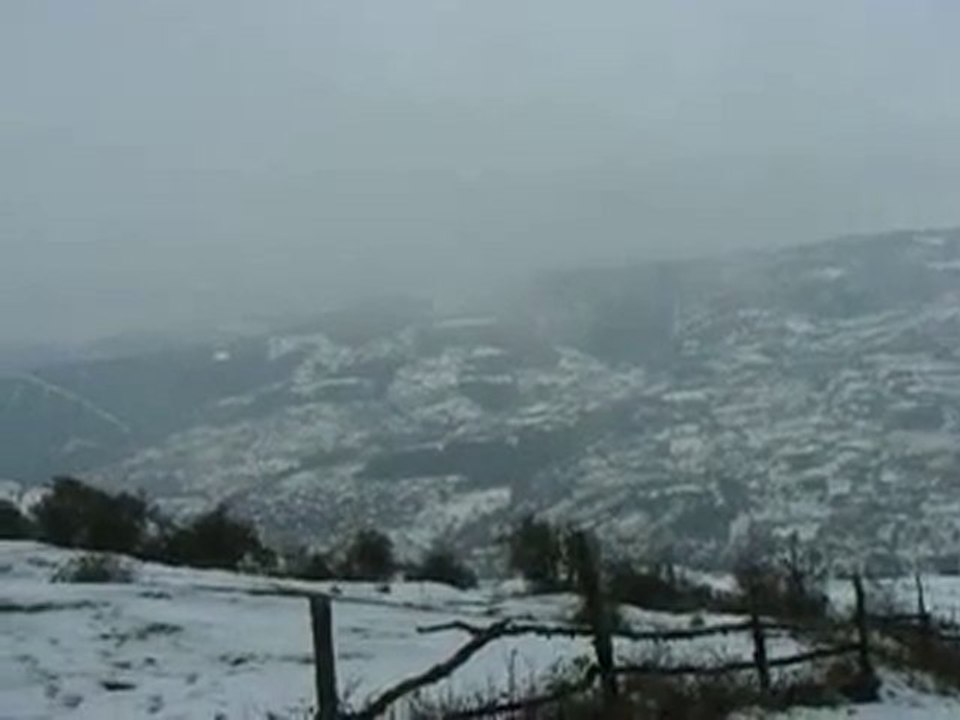 derekoydenbakis