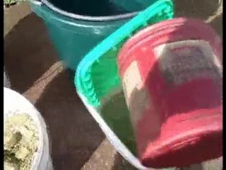 Recipe For Hendricks' Horse Tea