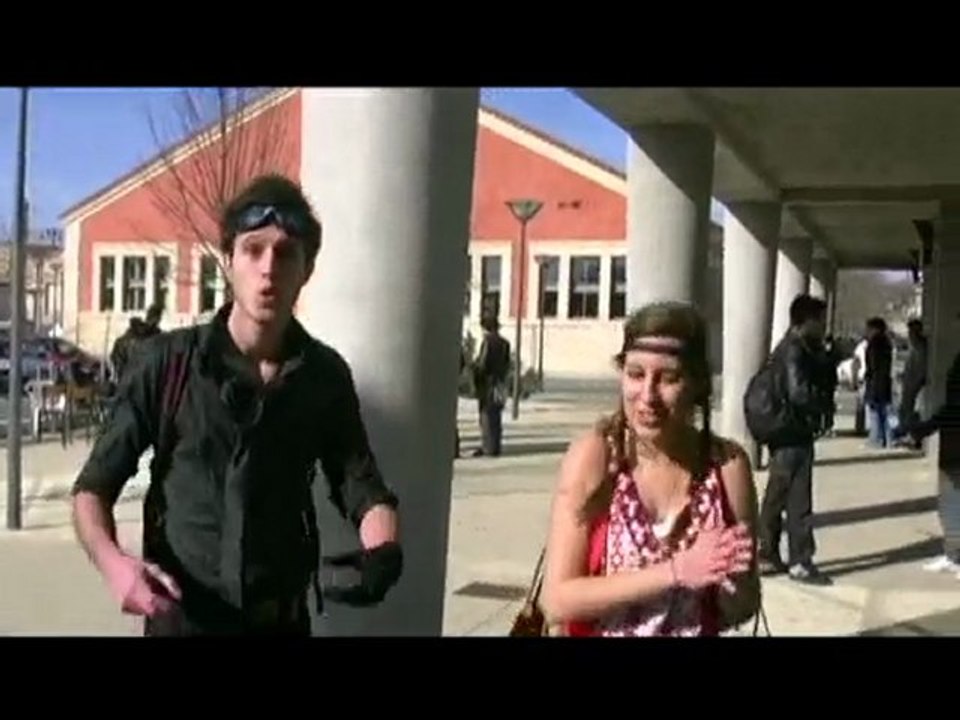 Chandeleur IUT Arles