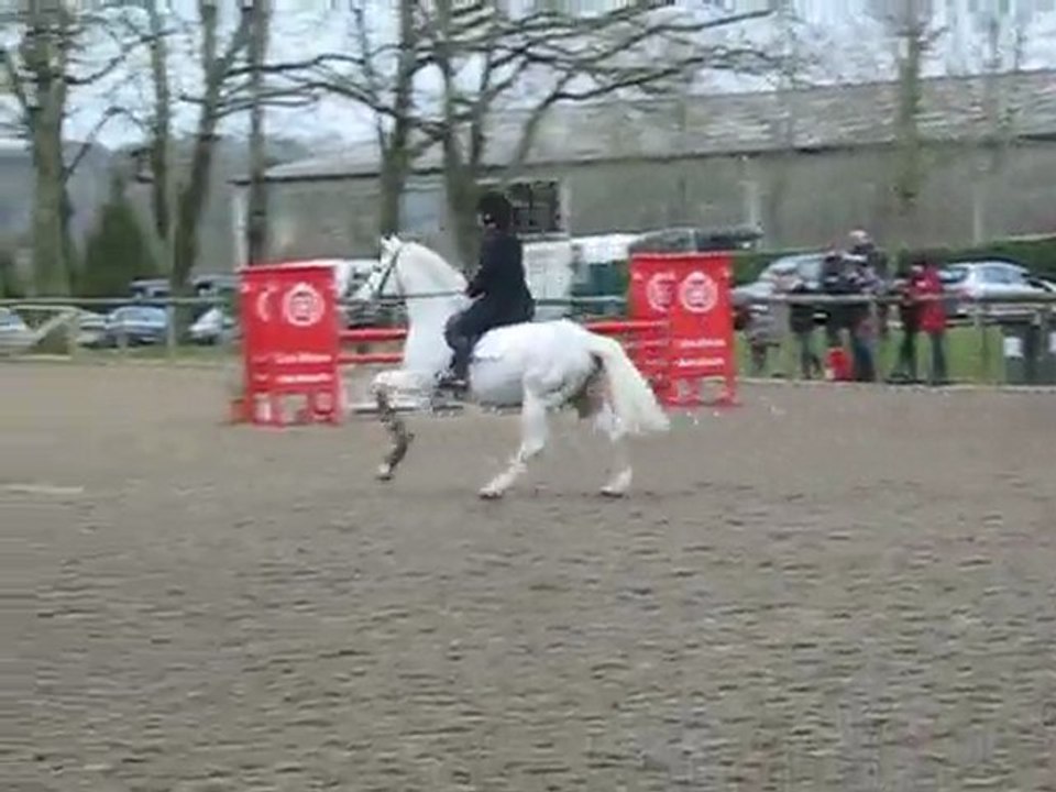 DON JUAN V parade Hennebont 2010