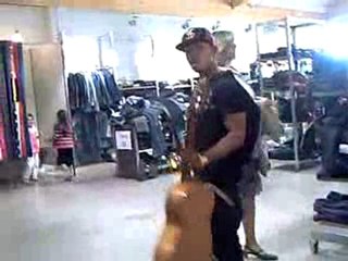 CLIP0006